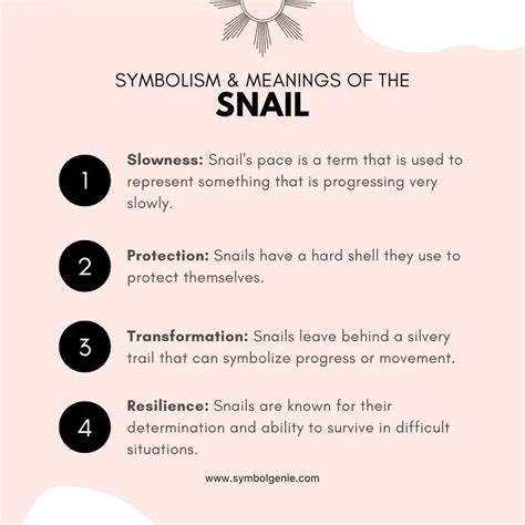 snail meaning spiritual|snail native american culture.
